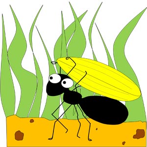 نقاشی مورچه در حال حمل یک دانه