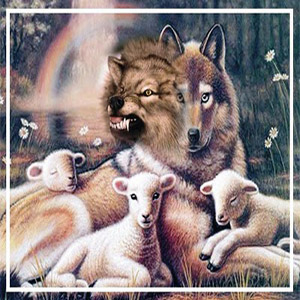 گرگ و بره گوسفند در کنار یکدیگر